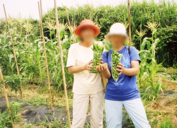 鴨川オーシャンパークの夏野菜摘み取り体験の様子