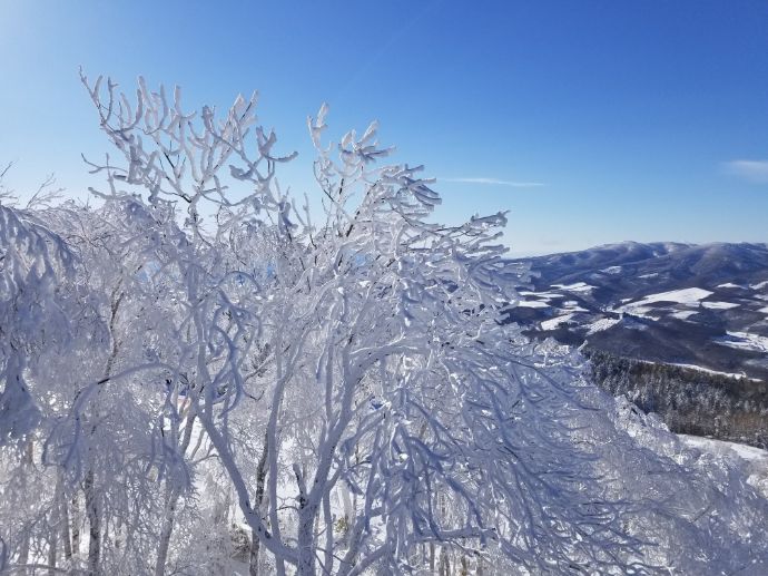 北海道旭川市にある「カムイスキーリンクススキー場」の様子