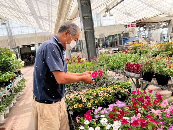 「花夢里にいつ」へ納品に来ている生産者さん