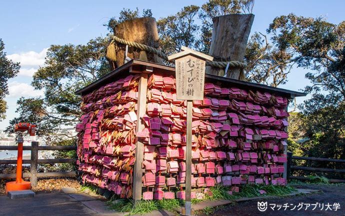 江ノ島神社・むすびの樹