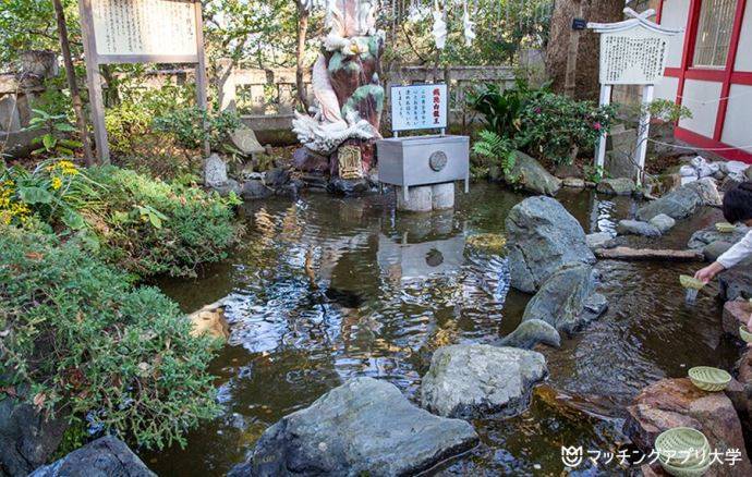 江ノ島神社・銭洗白龍王