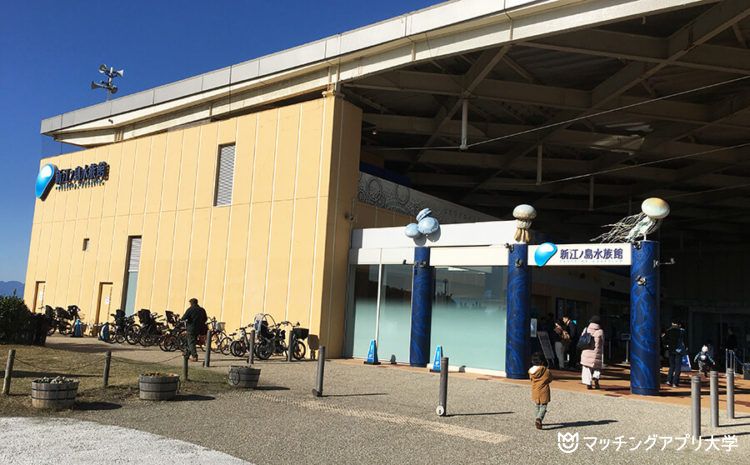 新江ノ島水族館デートプラン！