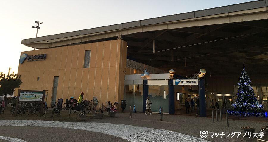 夕方の新江ノ島水族館