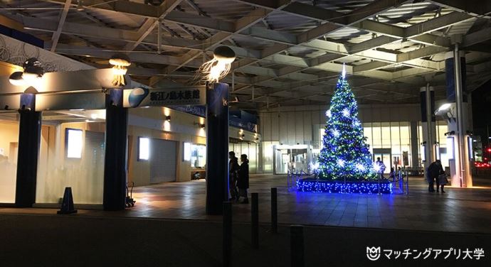 エントランス前のクリスマスイルミネーション