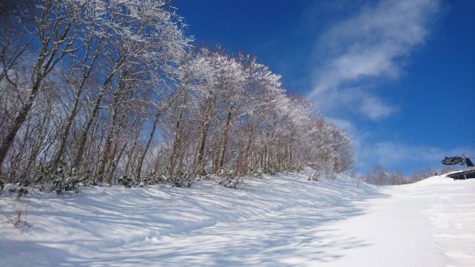 天気のよい日の神立スノーリゾート