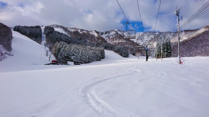 ふかふかの雪が楽しめる神立スノーリゾートのゲレンデ