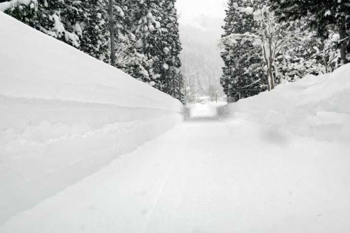 特別豪雪地帯自然の積雪