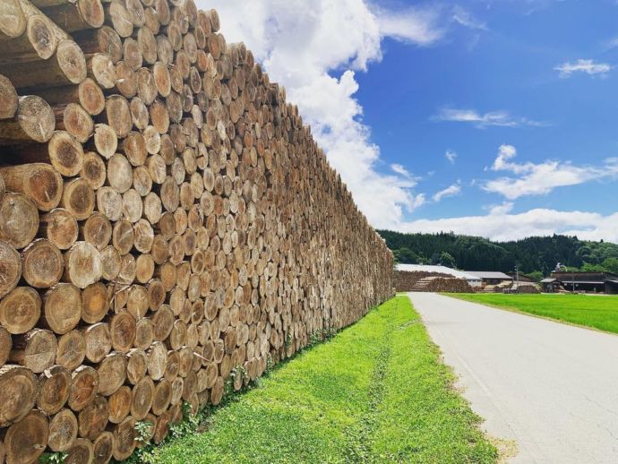 山形県金山町の庄司製材所金山工場