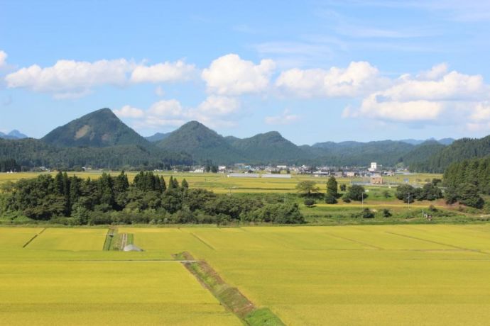 山形県金山町の田園風景