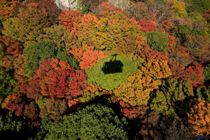 「寒霞渓ロープウェイ」の車窓から眺める紅葉の風景