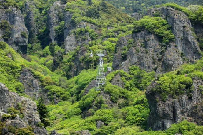 「寒霞渓ロープウェイ」の沿線と新緑