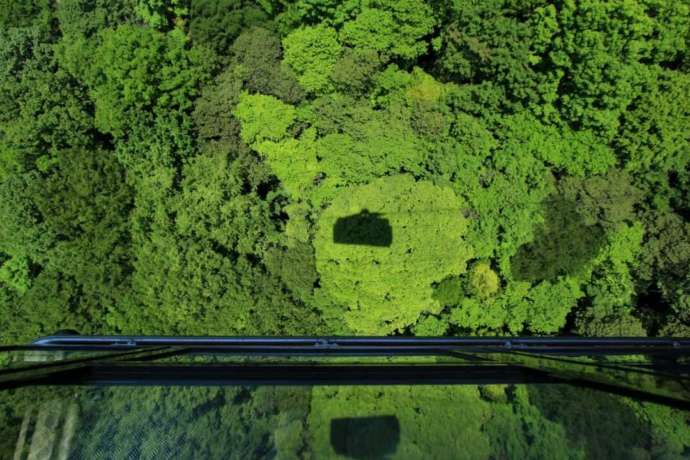 「寒霞渓ロープウェイ」の車窓から眺める新緑の風景