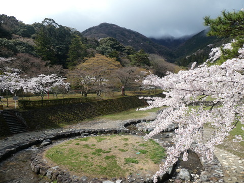 養老公園の春の景色