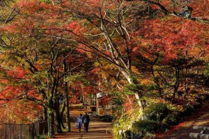 養老公園の秋の風景