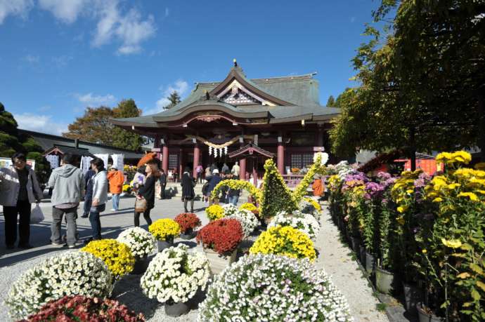 笠間菊祭りの様子