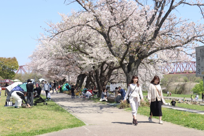 笠松町の春まつりの様子