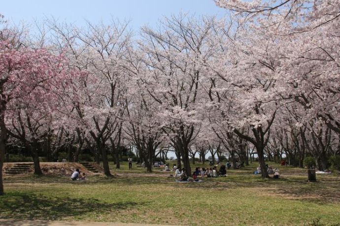 鹿嶋市の「鹿島城山公園」