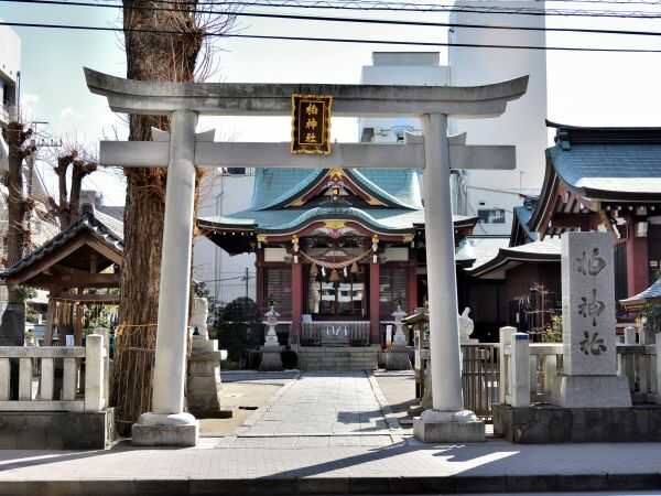 柏神社の白鳥居