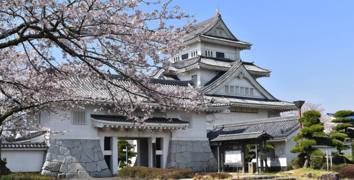 お城を模して造られた、かすみがうら市歴史博物館の外観と桜の写真