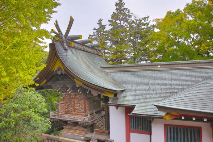 結婚式以外で香取神社を訪れた場合の見どころやオススメなどはありますか？