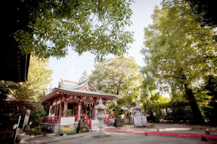 香取神社で神前結婚式を挙げるメリットを教えてください