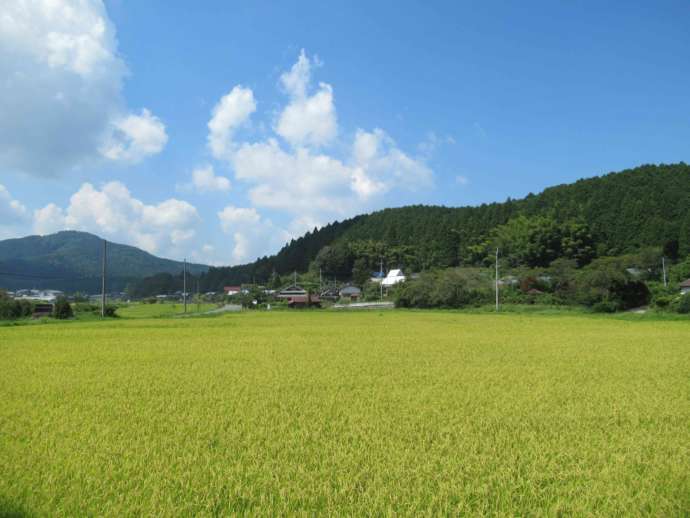 かつらぎ町の田園風景