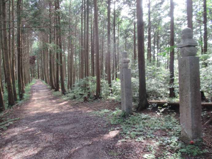 世界遺産に登録されている高野参詣道町石道