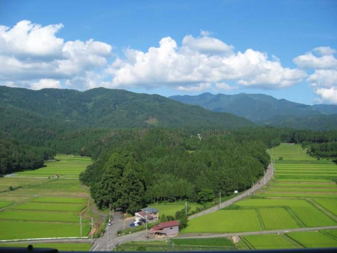 勝山城博物館より見下ろした国史跡白山平泉寺旧境内