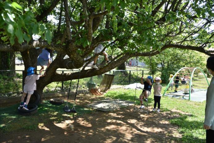 勝山市にある保育園の園庭であそぶ子どもたち