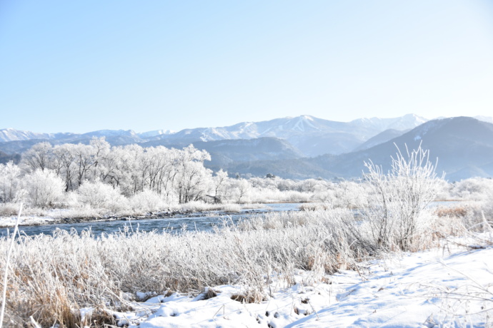 勝山市の九頭竜川の雪景色