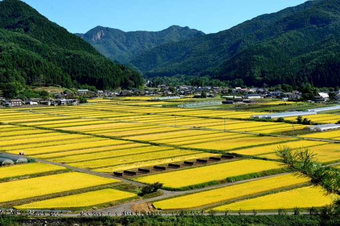 川場村の田園風景