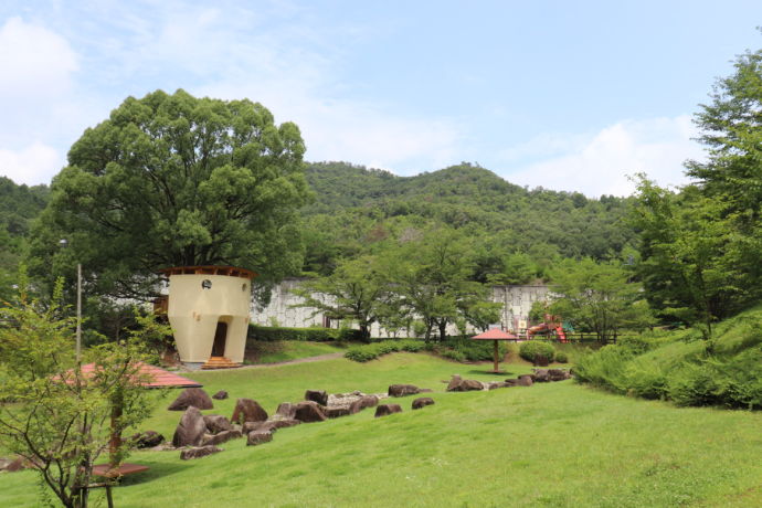 緑が広がる山楠公園