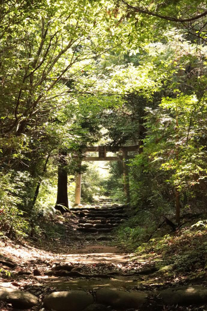 権現山にある「星神社」の鳥居