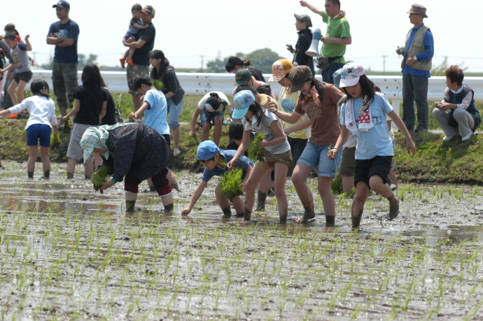 田植え体験をする子ども達