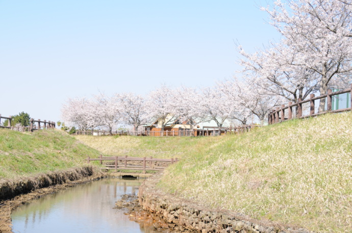 水と緑のふれあい公園