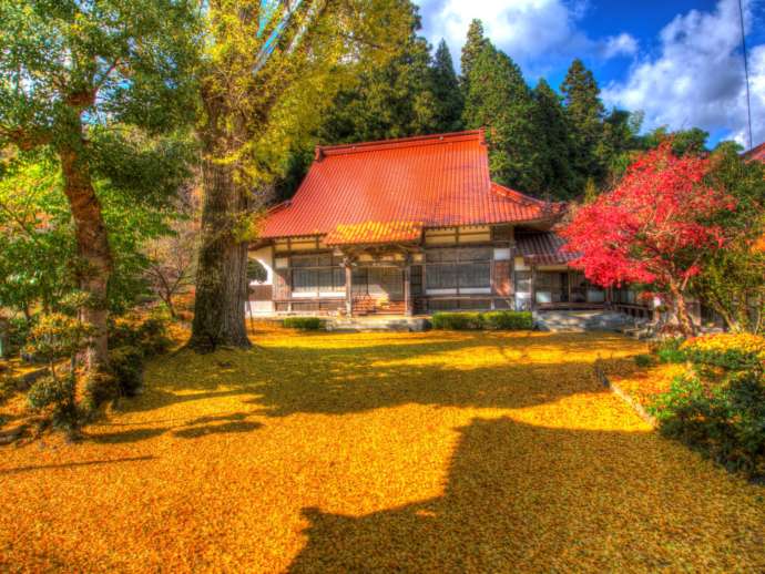 川本町にある長江寺の紅葉写真