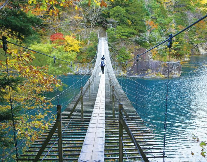 川根本町の夢の吊橋