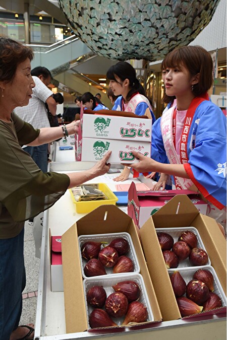 兵庫県川西市で開催されたいちじくの即売会の様子