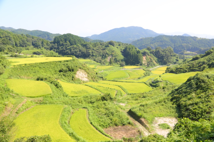 桂川町の田園風景