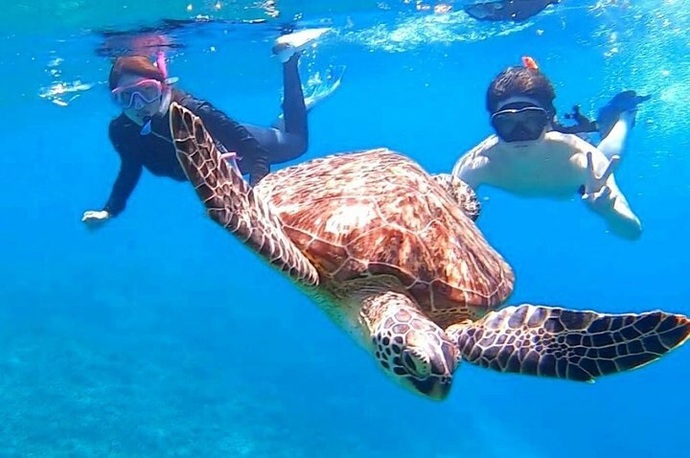 「西表島 ケンガイド」のバラス島でのシュノーケリング体験の様子