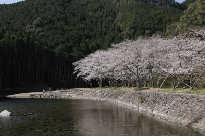 大里親水公園