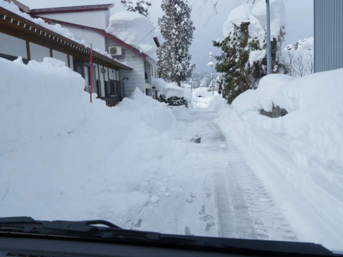 除雪機が通ったあとの小道の様子