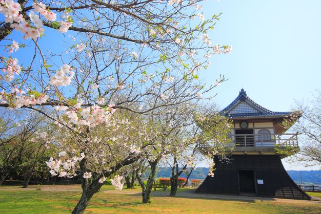 宮崎県児湯郡木城町にある城山公園と桜の木