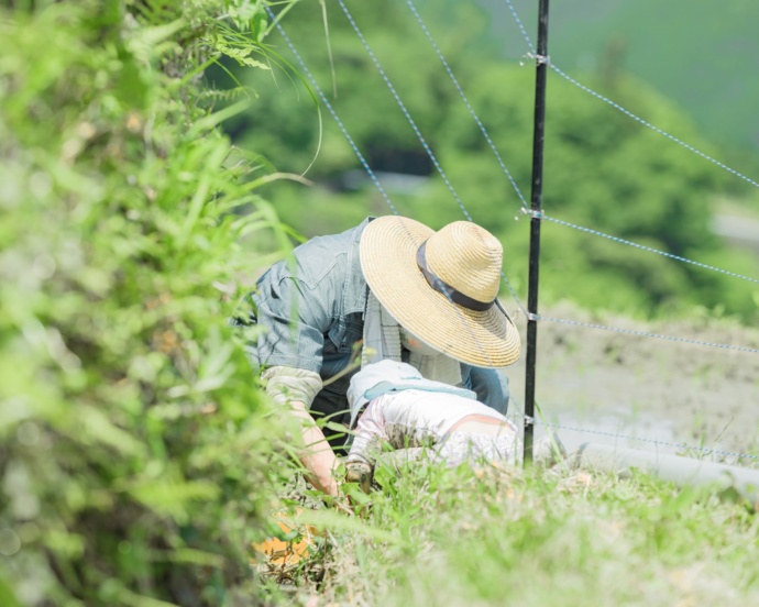 自然の中で遊ぶ紀美野町の子ども