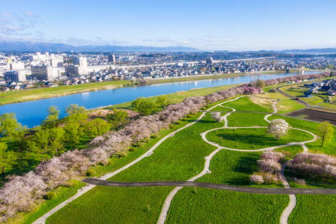 北上市の桜の名所北上展勝地