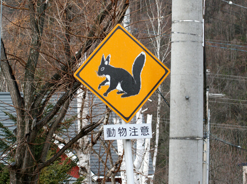 北の嵐山の動物注意の看板