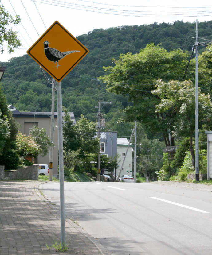 北の嵐山周辺で見られる動物標識