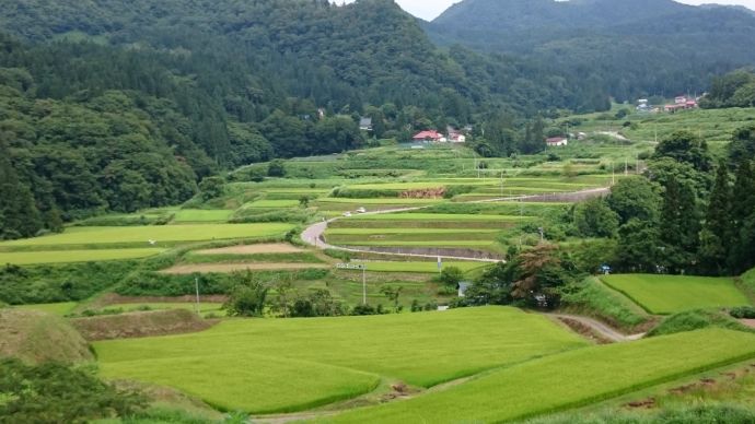 北塩原村の大塩エリアの棚田