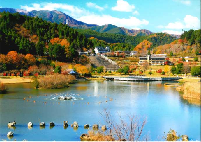 宮ヶ瀬湖畔園地にある親水池