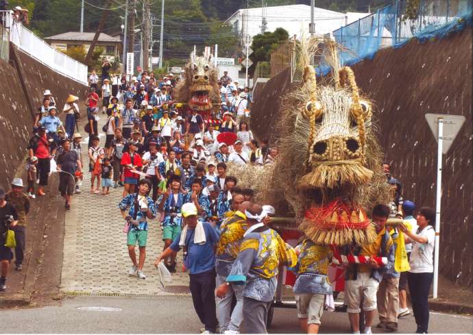 青龍祭で雄龍と雌龍が練り歩く様子